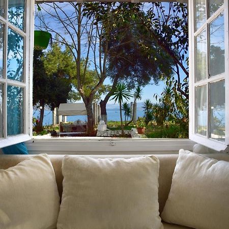 Villa Spiaggia Bianca Δαφνίλα Εξωτερικό φωτογραφία