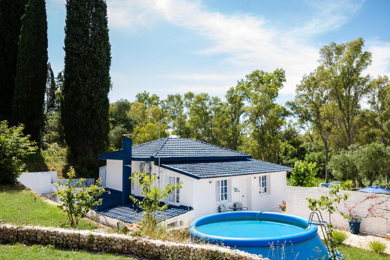 Villa Spiaggia Bianca Δαφνίλα Εξωτερικό φωτογραφία